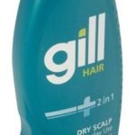 Gill 2in1 Dry Scalp Regular - 400ml