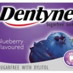 Dentyne - Sugar Free Blueberry Gum 50g