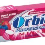 Wrigley's - Orbit Berry Mints 50g